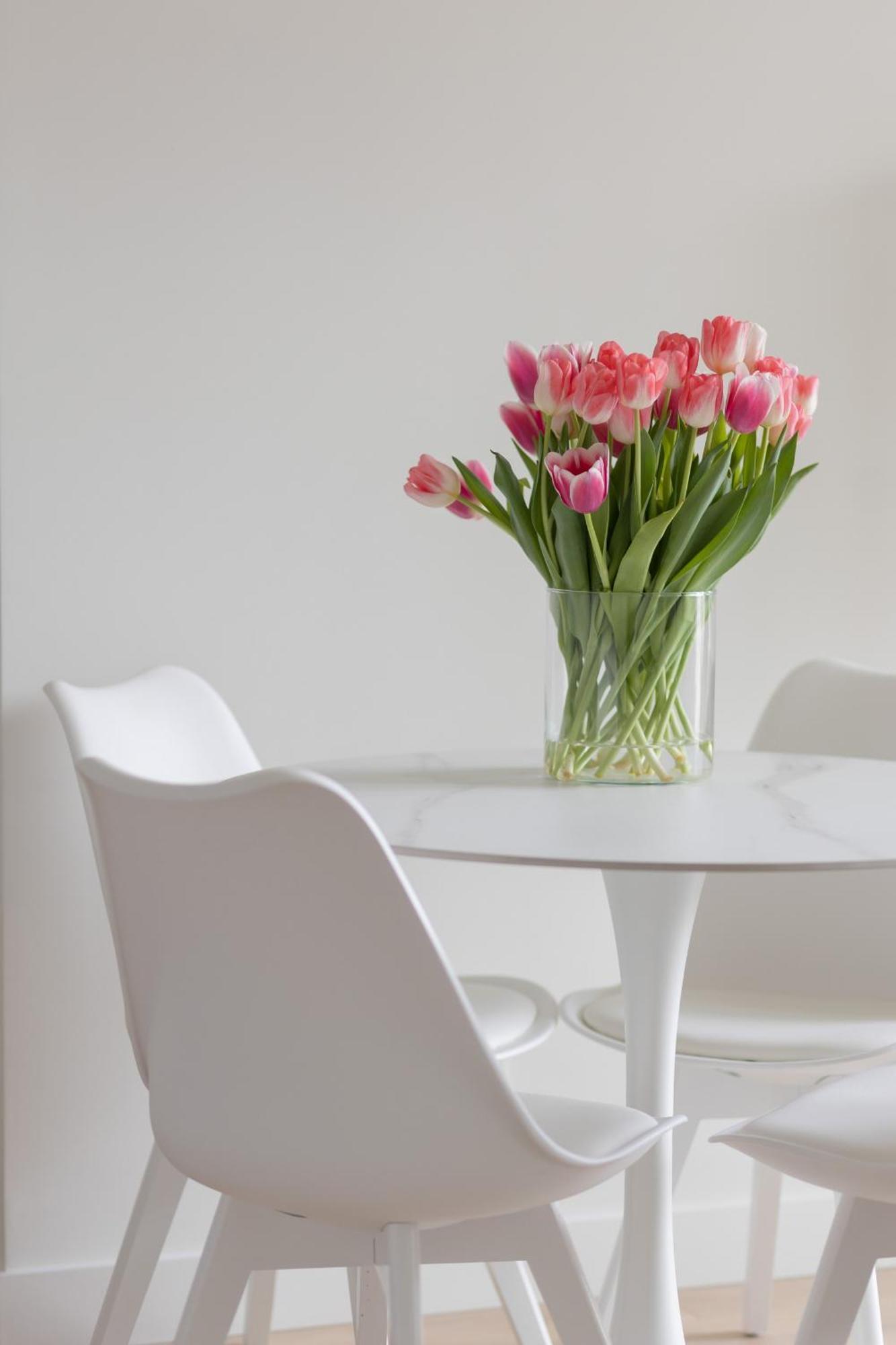 Elegant & Cozy Panska By Renters *